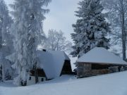 Diverse-Bilder-110