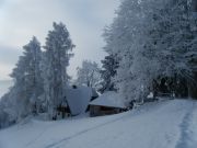 Diverse-Bilder-111