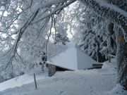 Diverse-Bilder-114