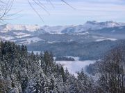 Emmental