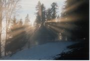 Wald2
