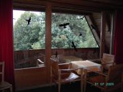 PICT0075